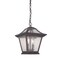 Homeroots 12 x 9 x 9 in. Aiken 2-Light Black Coral Hanging Light 397979 - alternate 3